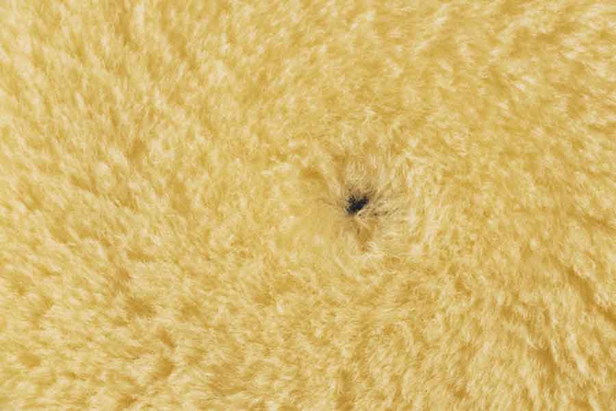 Rupes-Wool-Pad-Medium-Yellow Rupes Wool-Pad Medium Polierpad Ø 150/180mm